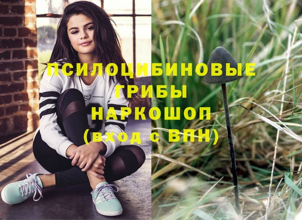 гидра Балахна
